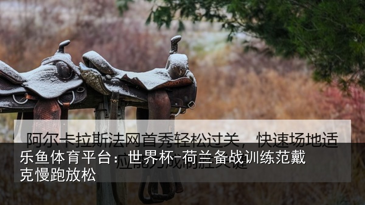 乐鱼体育平台：世界杯-荷兰备战训练范戴克慢跑放松