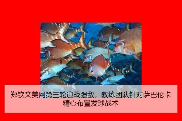 zheng-qin-wen-mei-wang-di-san-lun-ying-zhan-qiang-di-jiao-lian-tuan-dui-zhen-dui-sa-ba-lun-ka-jing-xin-bu-zhi-fa-qiu-2-649.jpg