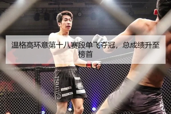wen-ge-gao-huan-yi-di-shi-ba-sai-duan-dan-fei-duo-guan-zong-cheng-ji-sheng-zhi-bang-shou-3-317.jpg